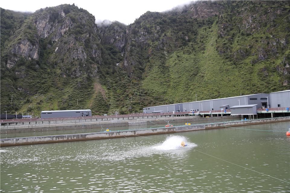 1600222800219268.jpg 1600222800219268.jpg